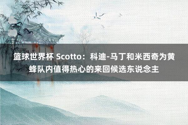 篮球世界杯 Scotto：科迪-马丁和米西奇为黄蜂队内值得热心的来回候选东说念主